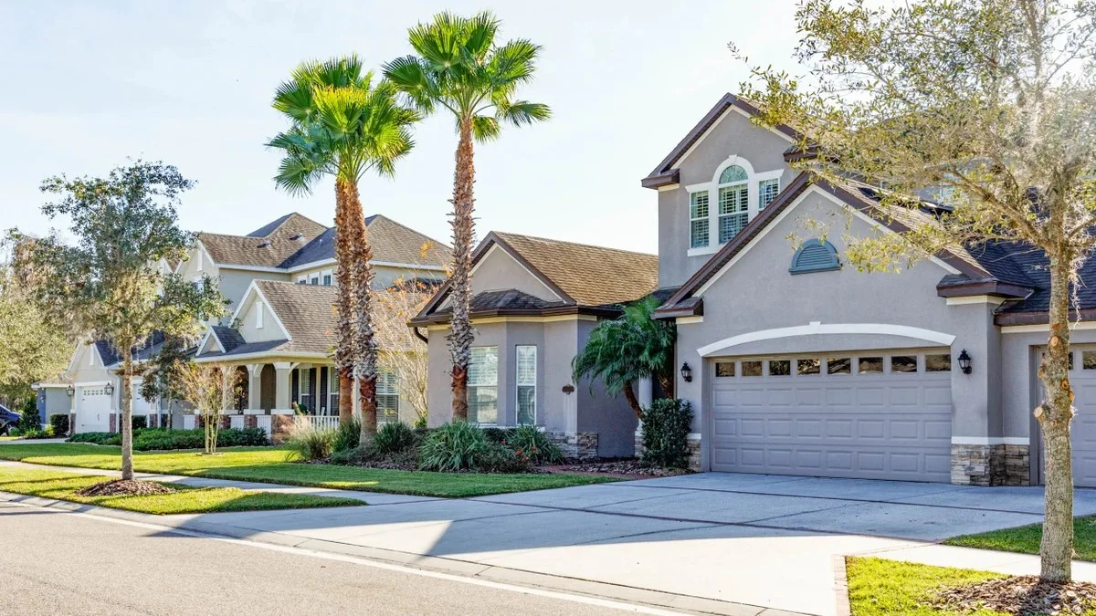 New Tampa