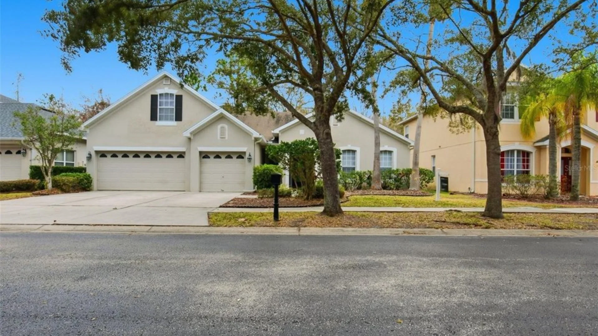 Tampa Palms painting services